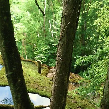 Sur Les Cailloux Vitry-les-Nogent