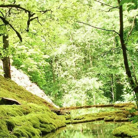 Sur Les Cailloux *